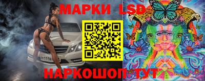 стаф Обь