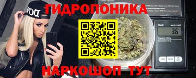 стаф Обь