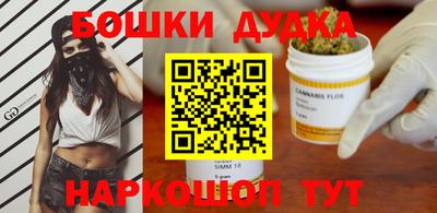 стаф Обь